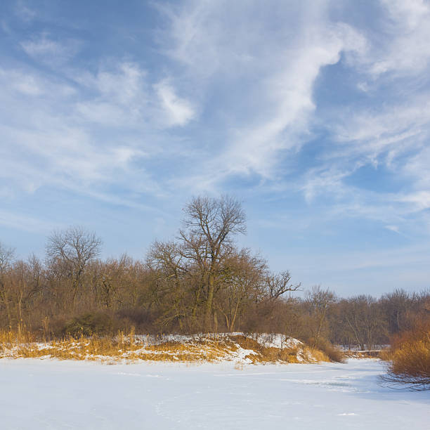 frozen winter river with forest on coast at the bright day