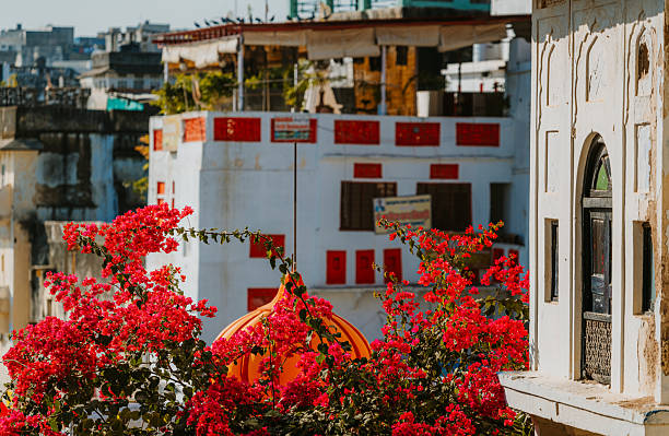 Colorful bougainvillea frames a sunlit Indian street, highlighting white walls with red window accents. A warm, vibrant scene blending architecture, culture, and daily life in Pushkar, India.