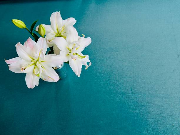 A bouquet of white and rose colored lily flowers on the green pool table designed for greeting cards or for a message to congratulate someone. It is inside of the house and is located in Corona California. During winter time, January month of 2026.