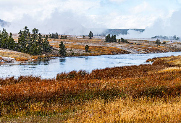 Yellowstone National Park in Winter with snow falling.