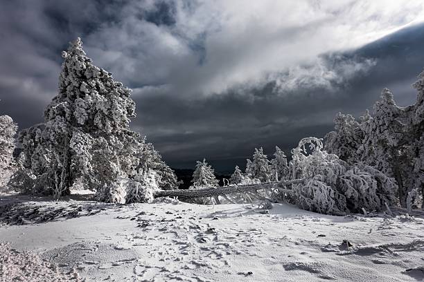 Mountain landscape in the winter with forests and fields covered with snow on Divcibare mountain, popular tourist place in Serbia