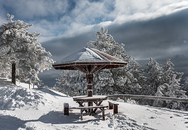 Mountain landscape in the winter with forests and fields covered with snow on Divcibare mountain, popular tourist place in Serbia