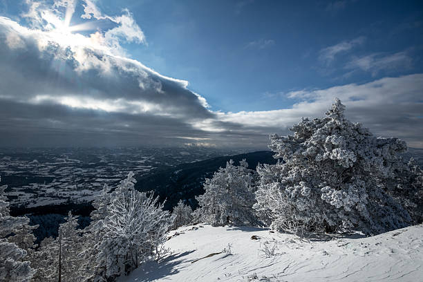 Mountain landscape in the winter with forests and fields covered with snow on Divcibare mountain, popular tourist place in Serbia