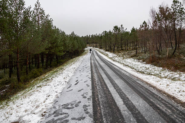 One person walking on a snow-dusted road through a forest on a cloudy winter day