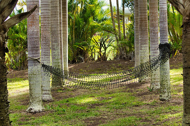 Shady spot with a hammock anchored to a set of palm trees.