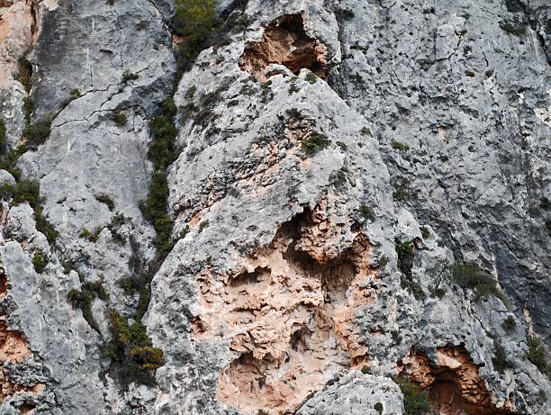 Close Up Limestone Rock Face Revealing Honeycomb Cavities And Orange Weathered Pockets, Rugged Grey Surface