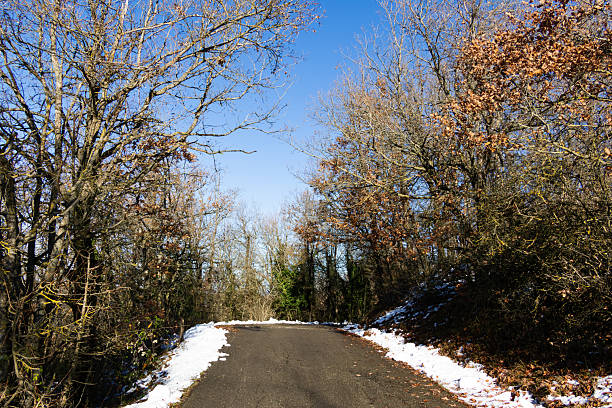 Country snowy road in winter during sunset