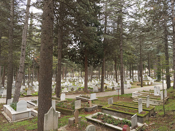 A solemn and respectful shot of a Muslim cemetery, featuring traditional headstones. The video captures the serene atmosphere of the graveyard, representing themes of faith, afterlife, mortality, and religious traditions. Ideal for documentaries, cultural projects, and spiritual content related to Islamic heritage.