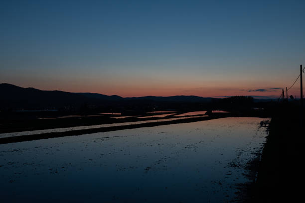 Beautiful spring evening and paddy fields filled with water in Hokkaido, Japan
