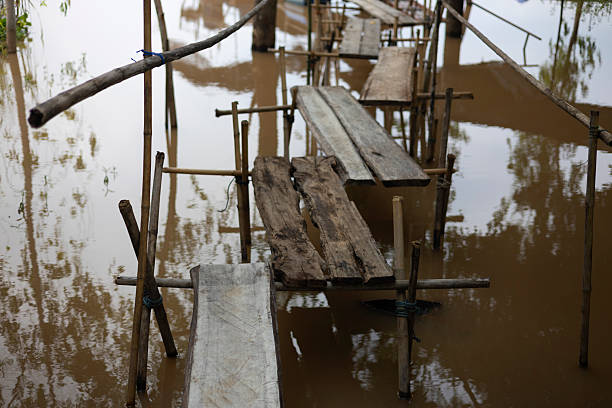Temporary Bamboo Framed Wooden Walkway In Flood, a documentary photo showing villagers building a simple walkway to adapt and survive during rising floodwaters.