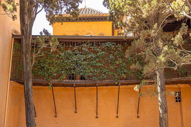 Ornate balcony railing with lush green plants on an ancient palace wall in Granada, Spain