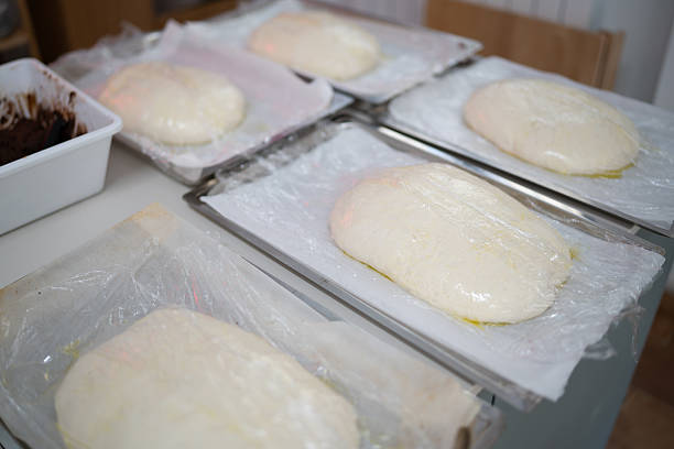 Freshly made pasta dough portions resting on trays, covered with plastic wrap, ready for rolling and shaping traditional tortelli using local ingredients in a professional Tuscan kitchen