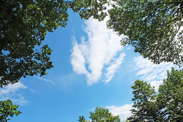 Summer resort scenery in Karuizawa