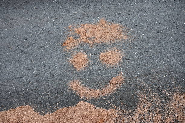 The image shows a smiley face shape created from scattered pine needles arranged on a dark asphalt road surface. Two small circular piles form the eyes, a curved line creates the smiling mouth, and a larger irregular cluster above suggests hair. The rough texture of the gray pavement contrasts with the warm brown tones of the needles, making the face clearly visible.