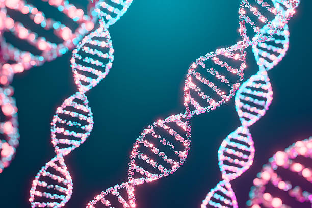 Detailed digital rendering of a genetic molecule showing DNA strands and atoms.