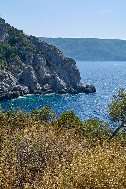 A stunning coastal landscape featuring dramatic limestone cliffs, lush greenery, and the crystal-clear turquoise waters of the Ionian Sea in Corfu.
