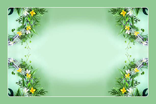 Bouvardia and heart leaves wreath with green background. / Frame