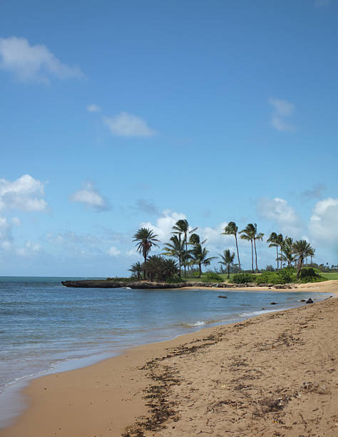 Haleiwa Ali'I Beach.