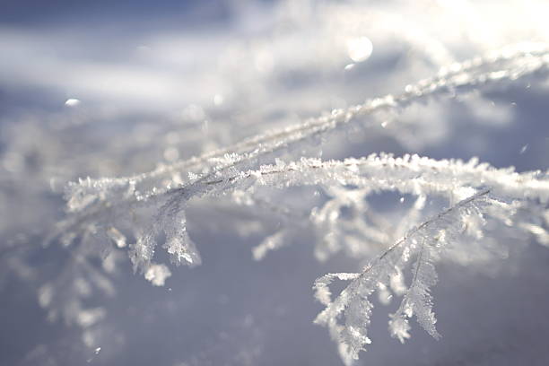 Horizontal photo of ponds covered with frost and snow. Sunlight reflects on ice crystals, creating sparkling details. No people are visible. Winter landscape in natural outdoor setting.