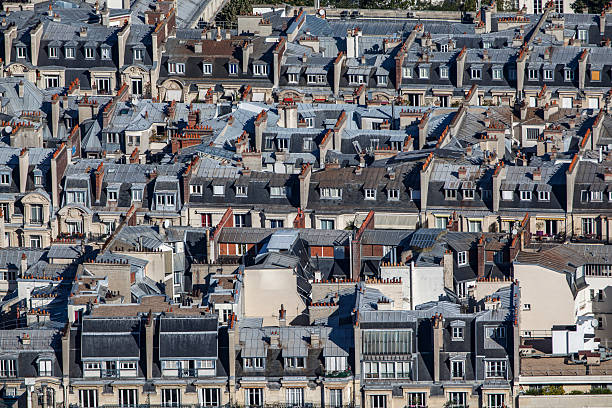 Elevated view of dense Parisian rooftops showcasing traditional Haussmann-style architecture in Paris, France. Zinc roofs, dormer windows, and chimneys form a repeating urban pattern, captured in daylight with strong geometric structure.