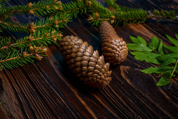 Two brown pine cones rest on a dark wooden surface with evergreen branches and leaves, creating a rustic and natural forest-themed composition