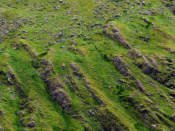 Rugged mountain slope densely covered with vibrant green grass and numerous grey rocks. This natural landscape appears steep and textured, bathed in daylight, showcasing an untamed environment.