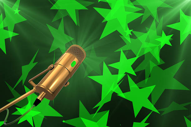 Audio recording vocal studio voice microphone with anti shock mount and built in anti pop filter for singing and voiceover actors doing voiceovers.