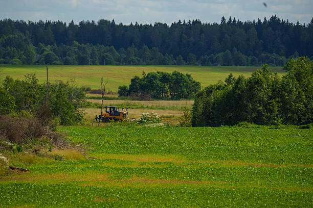 Vast green agricultural field stretching to the horizon under a blue sky with fluffy clouds. Peaceful rural summer landscape with no people