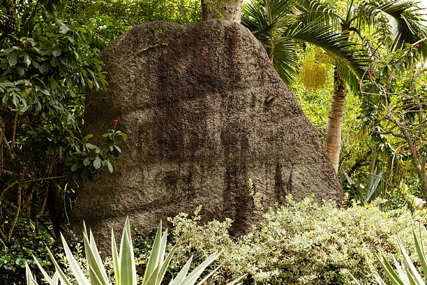 A large stone stands in a garden, providing an empty area for text. It is surrounded by various green plants and tall trees under bright sunlight.