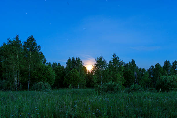 night photo. start of the day. dawn.fields and forest on the horizon in the fog and stars in the sky.