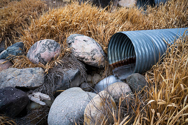 Ice filled pipe draining water in wetland conservation area.