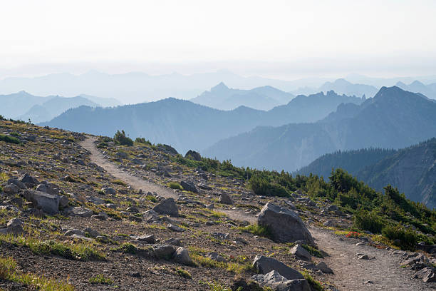 Scenic mountain view from Sourdough Ridge Trail, Sunrise Point, Mt Rainier National Park, Washington, USA