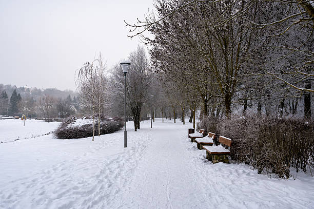A peaceful public park scene featuring a snow-covered pathway lined with bare trees and wooden benches. Frosted branches and soft winter light create a calm, quiet atmosphere in an urban park setting in Veszprém.