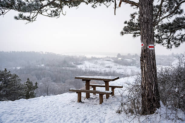 A peaceful winter viewpoint overlooking a misty valley, featuring a snow-covered wooden bench at the edge of a pine forest. A red and white trail marker on a tree highlights the hiking route and adds direction to the serene landscape.