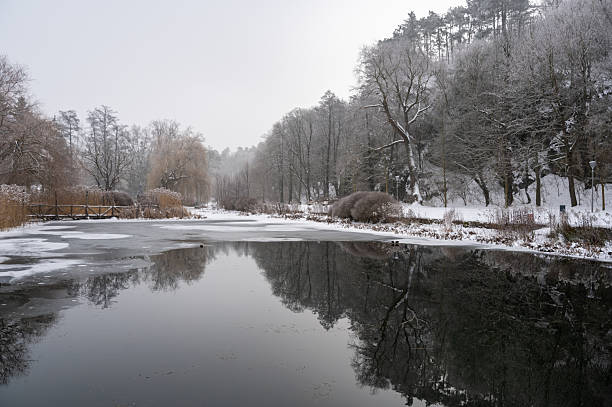 A tranquil winter landscape featuring a partially frozen lake reflecting snow-covered trees and a forested hillside. Soft winter light and frosty branches create a peaceful atmosphere in a natural park environment in Veszprém