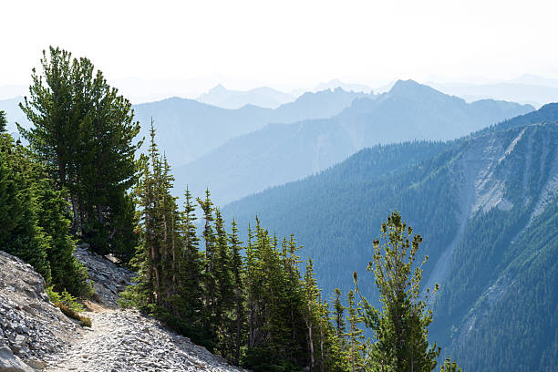 Sunrise Point Trail, Mt Rainier National Park, Washington, USA