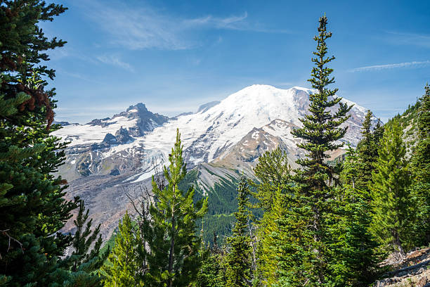 Mt Rainier from Sunrise Point Trail, Mt Rainier National Park, Washington, USA