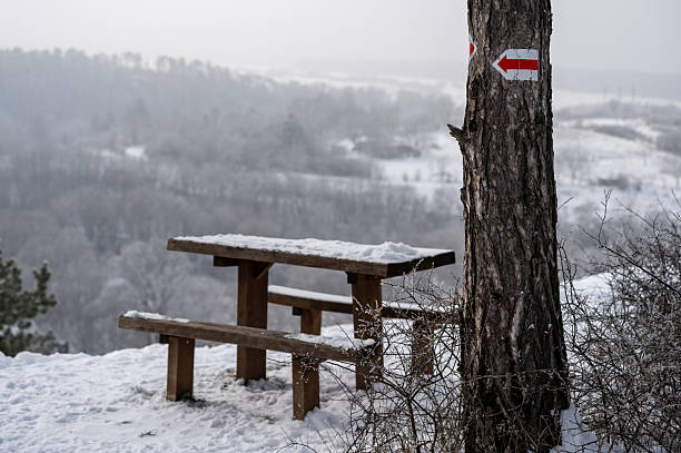A quiet winter viewpoint features a snow-covered wooden bench overlooking a misty forested valley. A red and white trail marker with an arrow painted on a tree provides navigation and adds context to the serene hiking landscape.