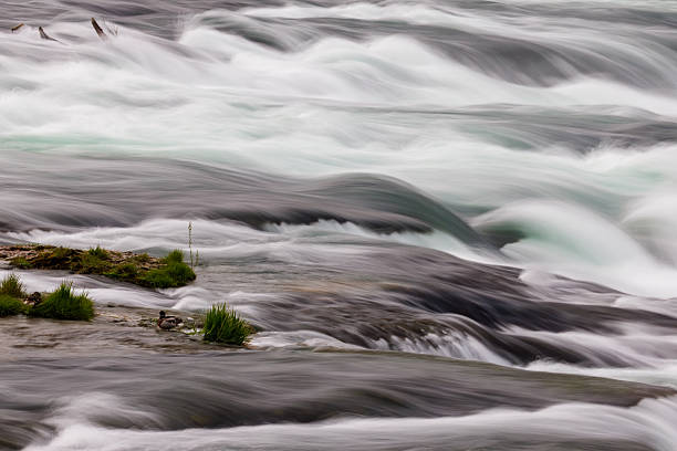Long exposure view of flowing water at Rhine Falls near Schaffhausen, Switzerland, showing dynamic movement, texture and natural power.