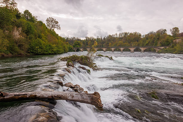 Powerful Rhine Falls near Schaffhausen, Switzerland, with cascading water, rocky outcrops and a railway bridge in the background.
