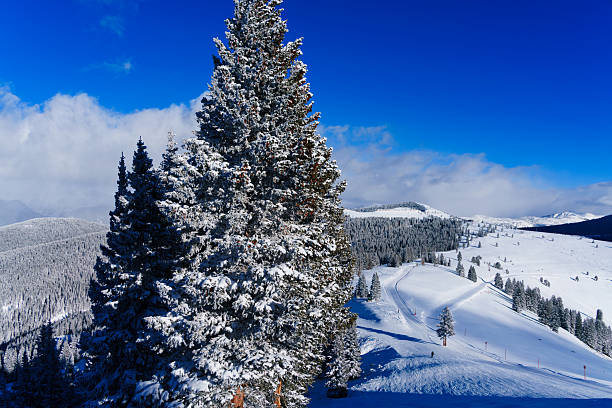 Vail, Colorado from mountain looking toward the Gore Range with fresh snow on trees and cut ski runs through forest. Scenic winter wonderland travel destination.