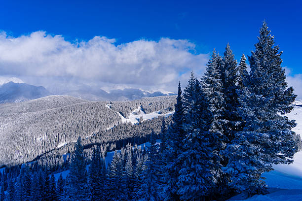 Vail, Colorado from mountain looking toward the Gore Range with fresh snow on trees and cut ski runs through forest. Scenic winter wonderland travel destination.
