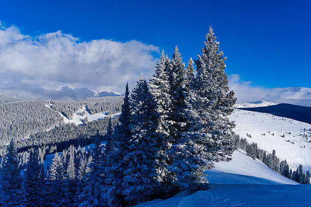 Vail, Colorado from mountain looking toward the Gore Range with fresh snow on trees and cut ski runs through forest. Scenic winter wonderland travel destination.