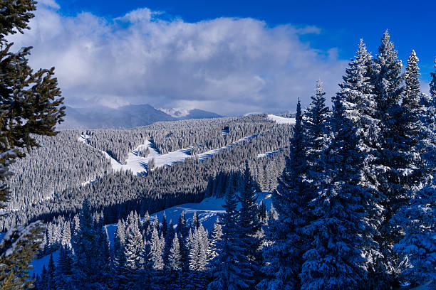 Vail, Colorado from mountain looking toward the Gore Range with fresh snow on trees and cut ski runs through forest. Scenic winter wonderland travel destination.