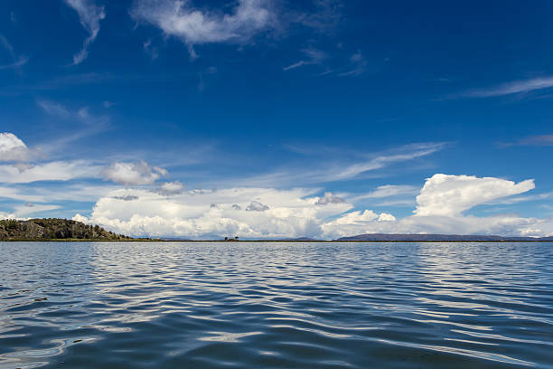 Colorful shores of the Lake Titicaca on a beautiful, April day. Totora reeds stick out from the water, cumulus clouds form in the blue sky.