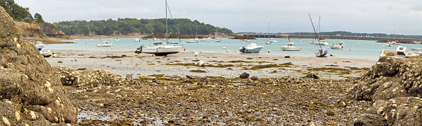 A calm coastal harbor scene with small boats resting at low tide, framed by rocky shoreline in the foreground and soft blue water stretching toward a distant tree-lined coast.