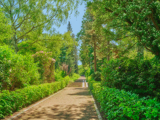 A tranquil garden pathway lined with vibrant greenery, flowering shrubs, and towering trees leads the eye into a sunlit, peaceful setting. The scene evokes calm, renewal, and natureâs beauty, with a touch of European park charm ideal for lifestyle, travel, and nature themes.
