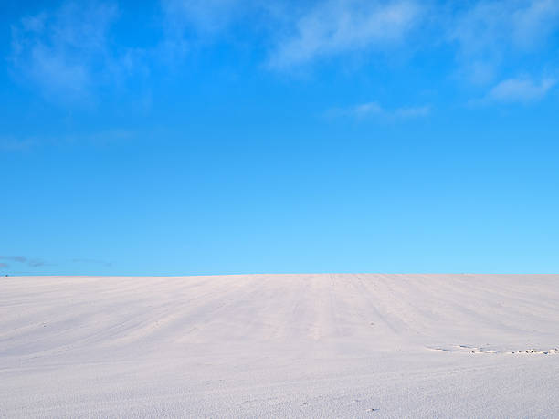 Snow starts melting on harvested corn field in evening time