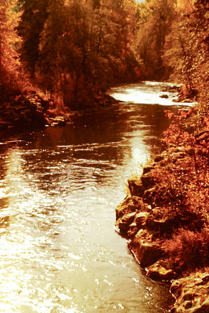 A calm river curves through a hillside covered in golden autumn foliage. Warm fall colors line the riverbank, creating a peaceful seasonal landscape that highlights transition, nature’s rhythm, and quiet wilderness.