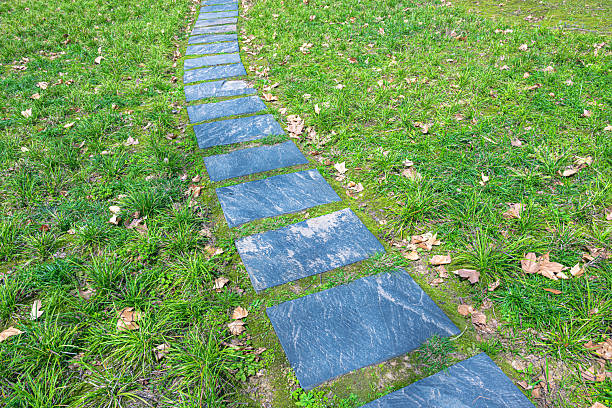 A stone path in the grass